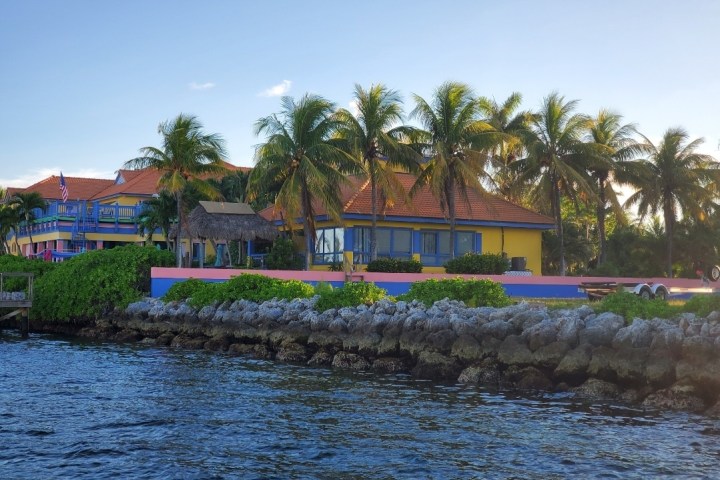 a group of palm trees next to a body of water