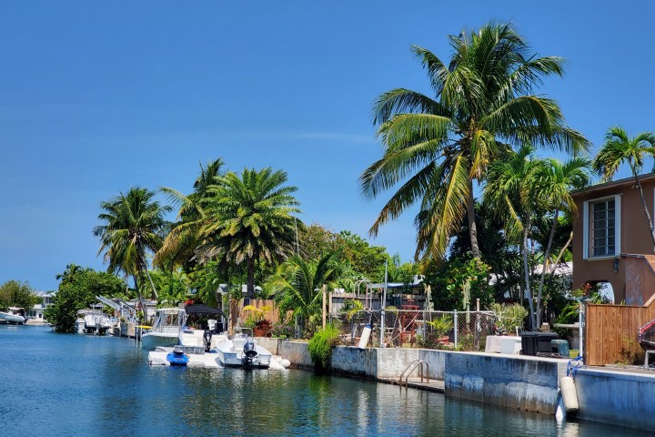 a small boat in a body of water surrounded by palm trees