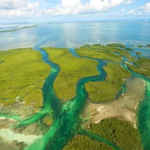 a large green landscape with a body of water